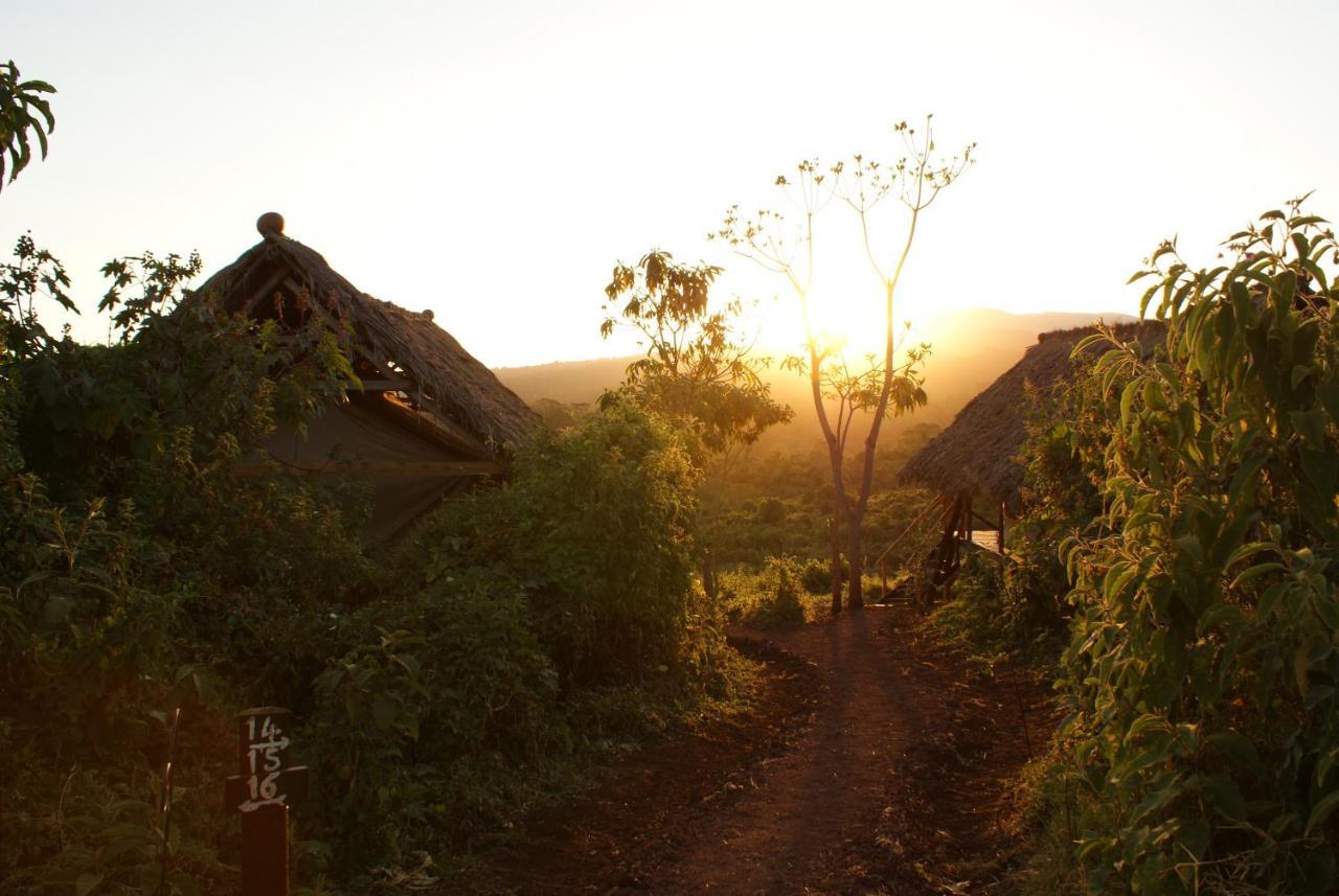 Crater Forest Tented Lodge Karatu Exterior photo